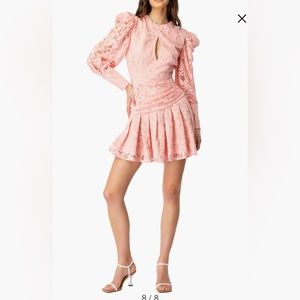 NWT Bardot Korina Pleated Long Sleeve Lace Minidress. Size 4